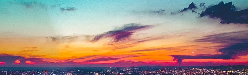 湛江茶虫网_湛江品茶